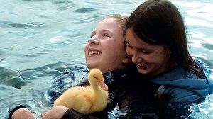 Zugvögel, Foto Bundesverband Jugend und Film e.V.