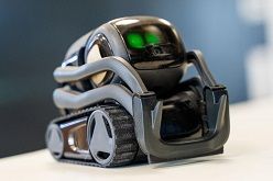 Die kleinen Vector-Roboter sind mit Sensoren und Kameras ausgestattet, anhand derer sie sich orientieren können. Mit der Kamera erkennen sie Hinweisschilder, die Auskunft darüber geben, was sie gerade sehen.  Felix Hüffelmann  FH Bielefeld