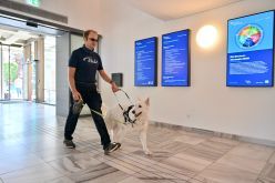 Assistenzhunde sind in städtischen Gebäuden willkommen