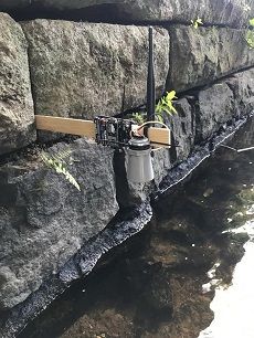 Erster Prototyp mit dem IoT-Octopus  Guido Burger  Hochschule Trier / Umwelt-Campus Birkenfeld