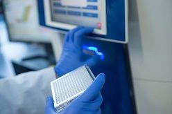 Um die molekularen Signalwege in gesunden und kranken Herzen besser zu verstehen, analysieren Forschende nichtcodierende Mikro-RNAs mithilfe der Real-time-PCR.  © Fraunhofer ITEM/Ralf Mohr
